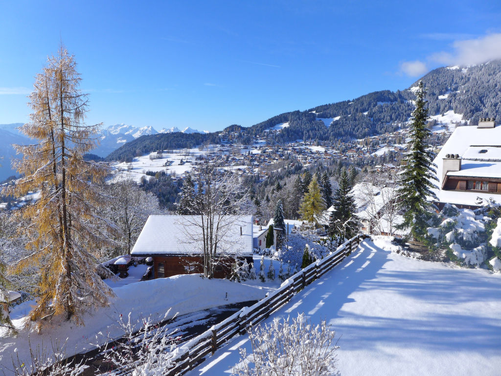 zzz - residence 2 personnes Confort CH1884.783.10 - Villars - sur - Ollons 