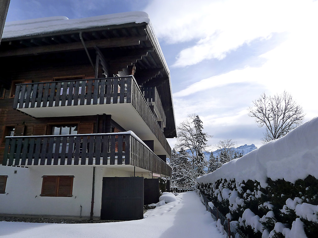 Chalet Les Bruyères A3 - Villars - sur - Ollons 