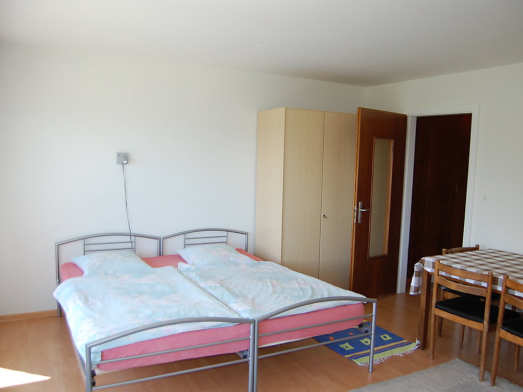 zzz - Appartement Perce-Neige 17 - Nendaz