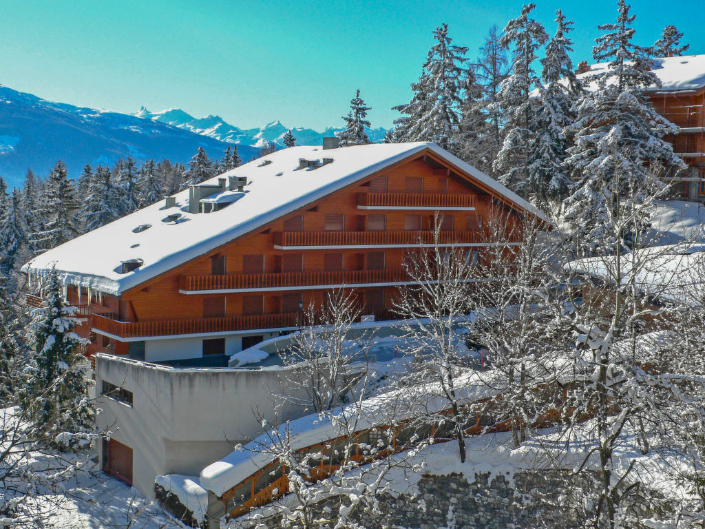 Appartement Les Faverges - Crans - Montana 