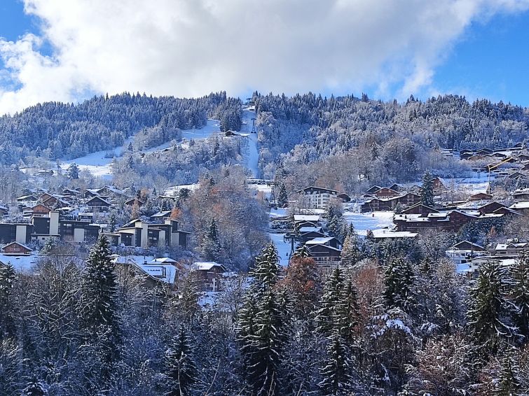 Appartement Les erables - Saint Gervais Mont-Blanc