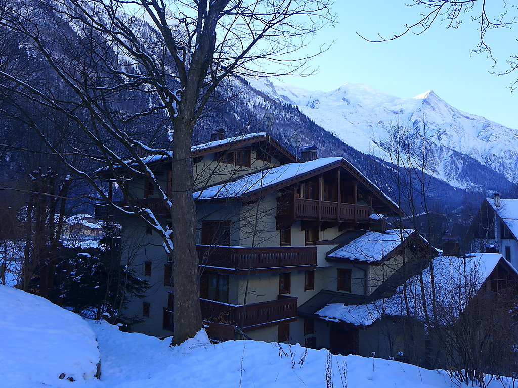 Appartement Le Parc du Mont-Blanc - Chamonix Centre
