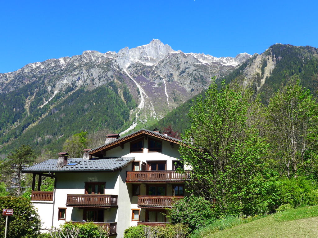 Appartement Le Parc du Mont-Blanc - Chamonix Centre