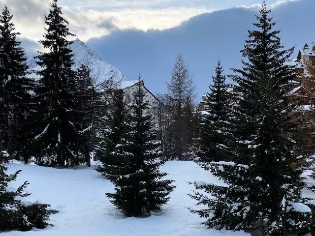 Résidence Cote Brune 3 - Les Deux Alpes Venosc