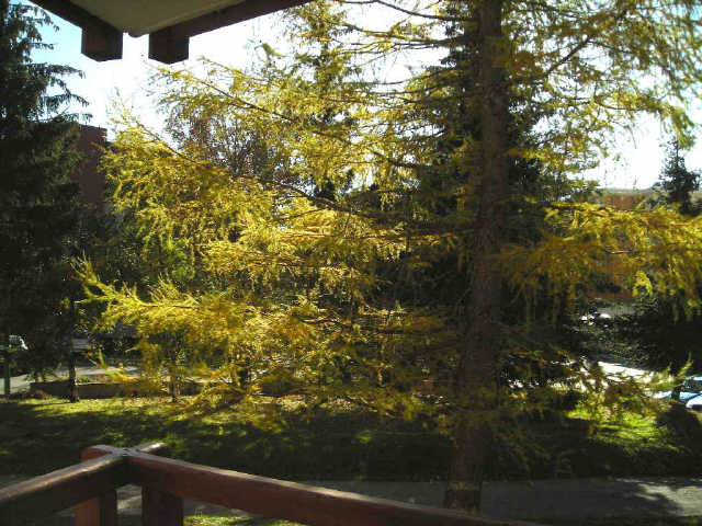 zzz Vue Allée de la résidence TYR4 - Tyrol 23517 - Les Deux Alpes Centre