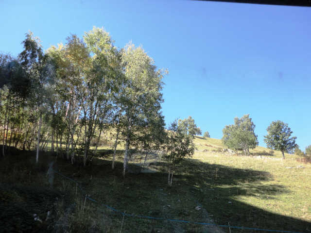 zzz DIA2A3 - Diamant 39756 - Les Deux Alpes Centre