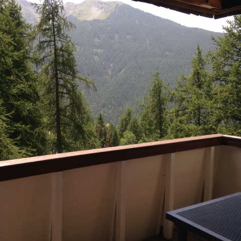 zzz Vue Forêt HOR309 - L'HORIZON 55577 - Les Orres