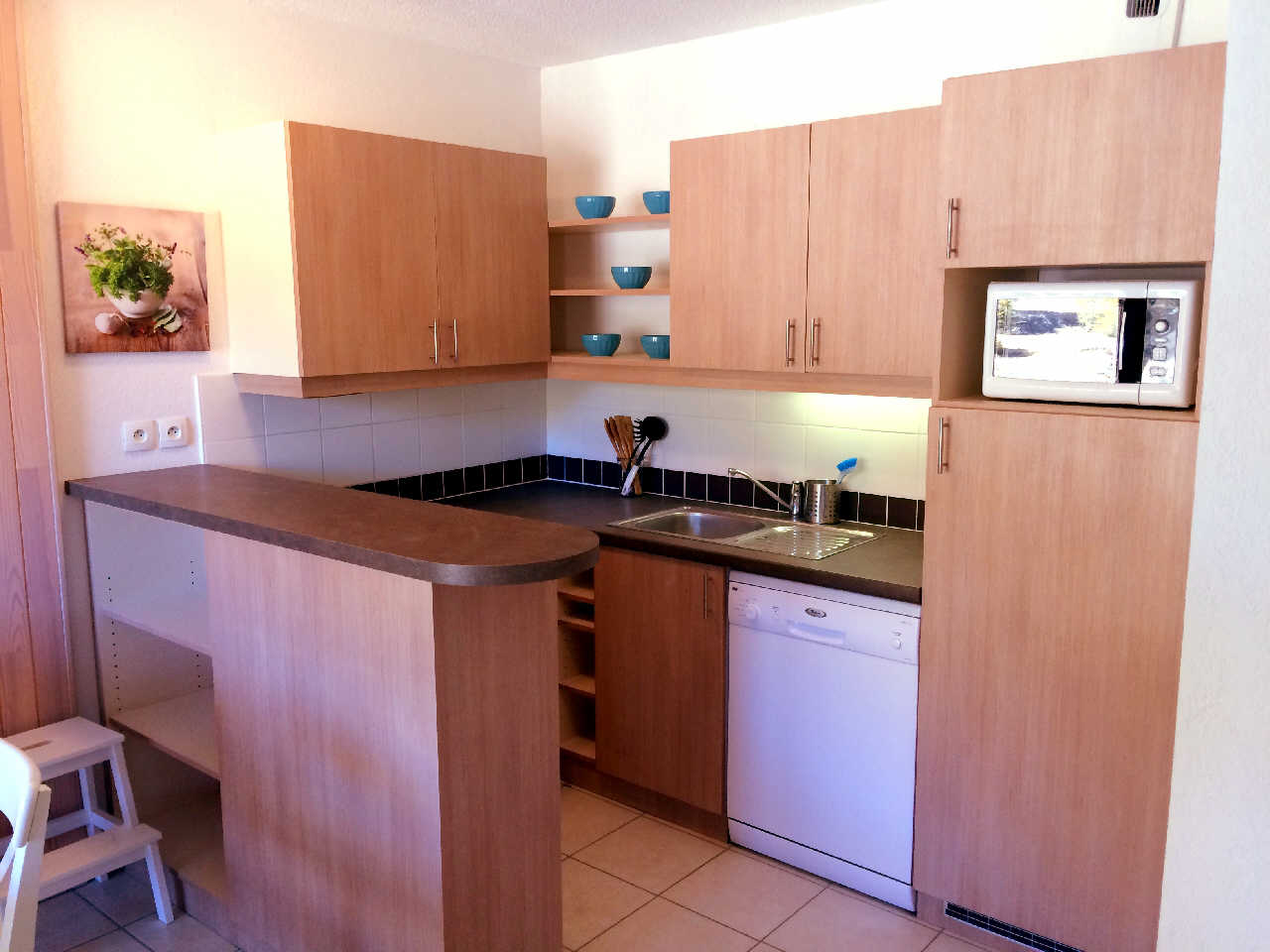 zzz Vue Pistes/Coeur de station BD - BALCON DES AIRELLES 59946 - Les Orres