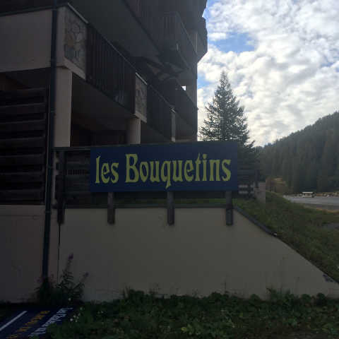Bouquetins 58188 - Vars
