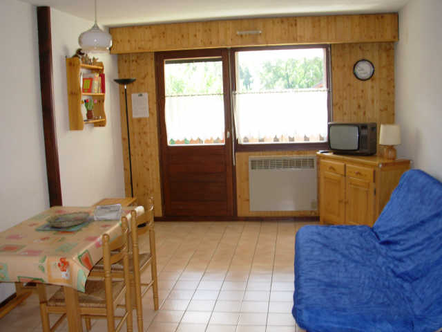 Fougères 13301 - Samoëns