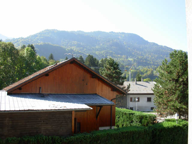 Fougères 13301 - Samoëns