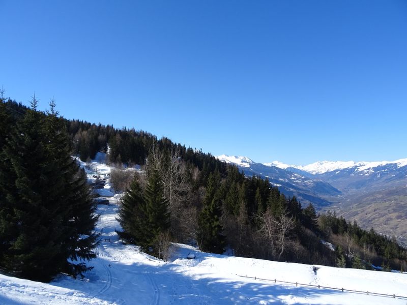 Appartements ADRET - Les Arcs 1600