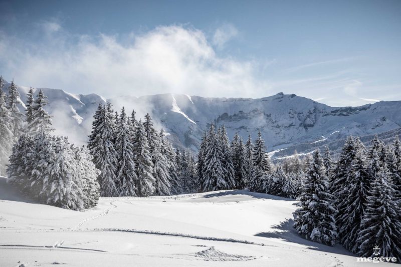 Chalet MANDARINE BLANCHE - Megève