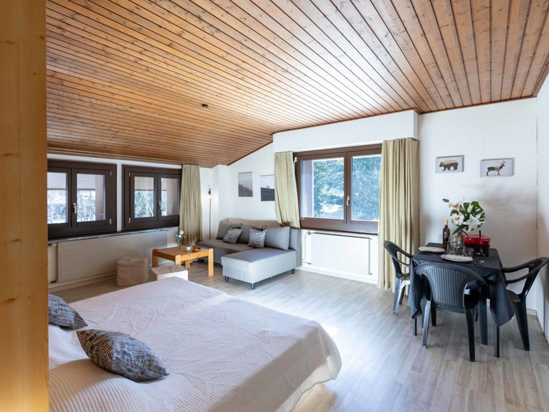 Appartement Gamat 49 - Villars - sur - Ollons