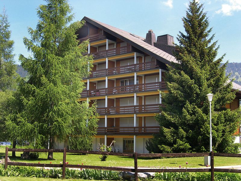 Appartement 1 pièces 2 personnes Confort - Appartement Grenat 8 - Villars - sur - Ollons