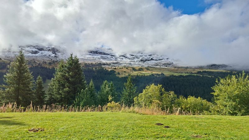 Appartements SAGITTAIRE - Flaine Forêt 1700