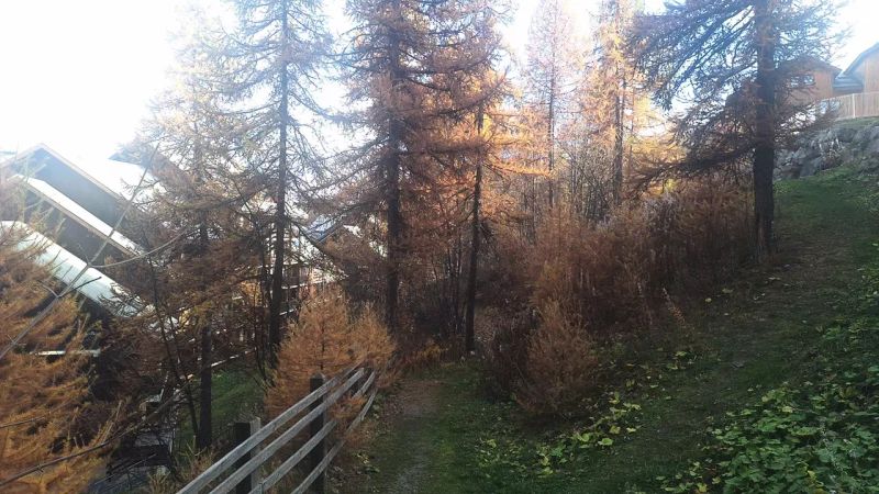 HEA405 - APPARTEMENT 1 CHAMBRE - Résidence Hameau Des Ecrins - Puy Saint Vincent