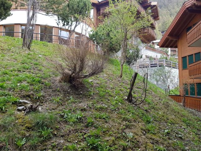 Appartement Brunnmatt - Zermatt