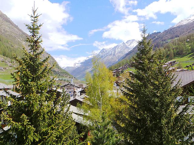 2 pièces 4 personnes Confort CH3920.955.4 - Zermatt