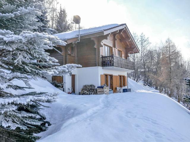 Chalet La Clairière - Nendaz