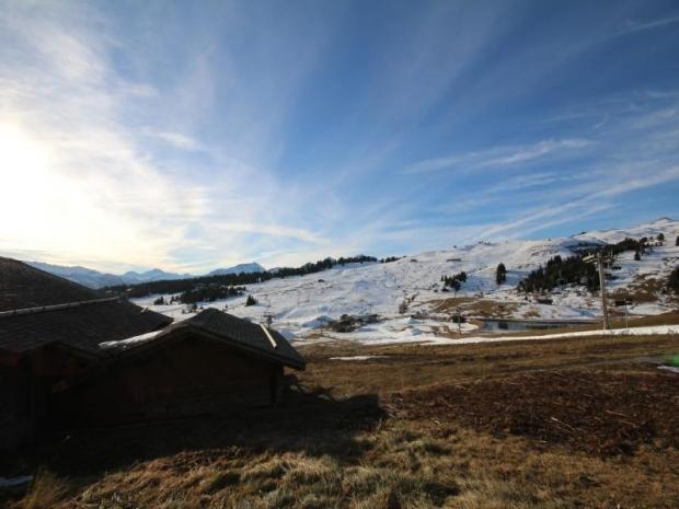 MYRTILLES - Les Saisies