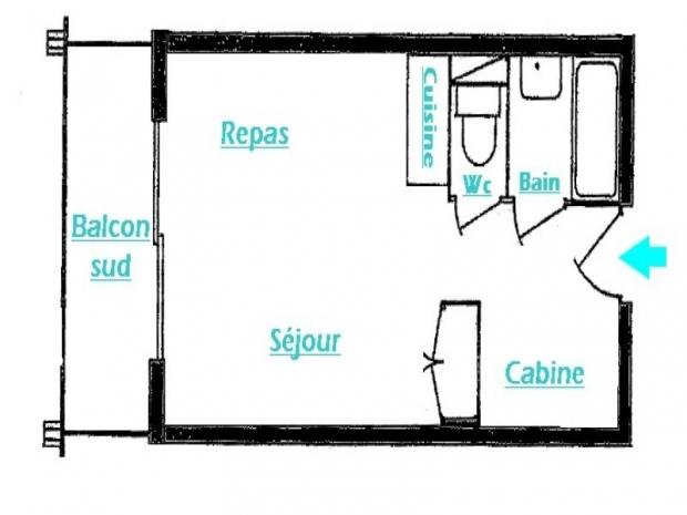 COURSIAUDINE - Les Saisies