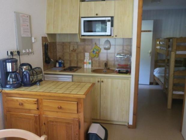 Appartement Les Campanules - Châtel