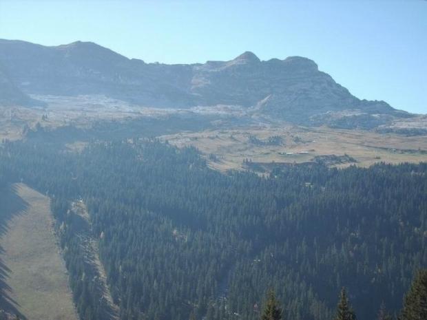 CASTOR - Flaine Forêt 1700