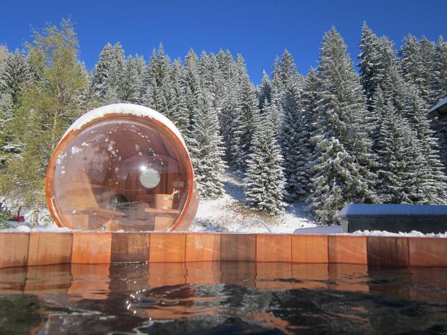 Chalet skis aux pieds à Villars-Gryon - Gryon