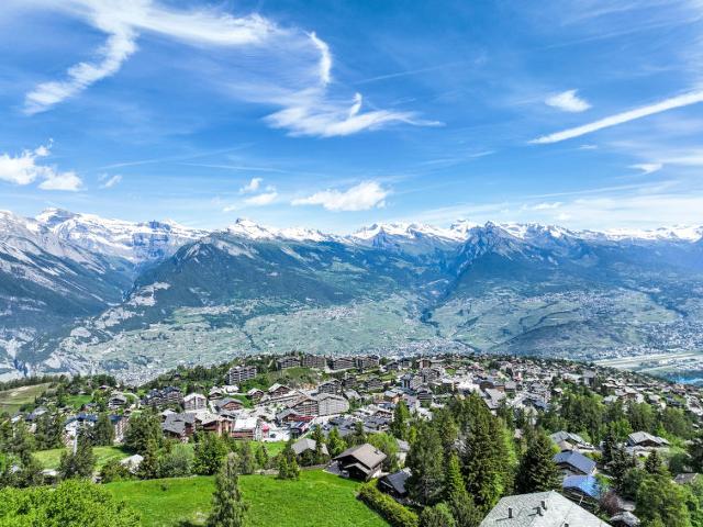 Appartement Valaisia 36A - Nendaz