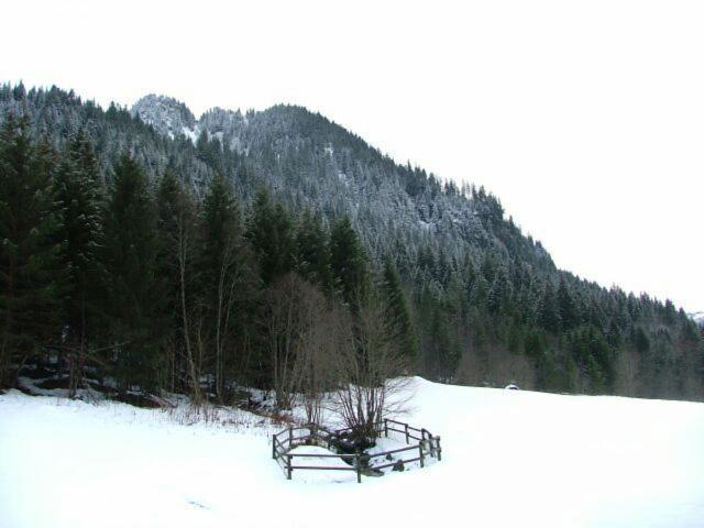 appartement 2 pièces - 4 personnes - Châtel