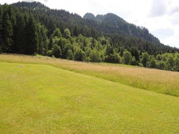 LES MYRTILLES - Châtel