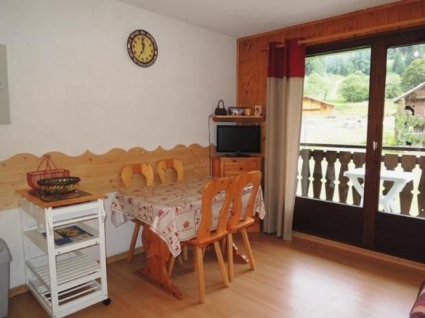 LE PERCE-NEIGE - Châtel