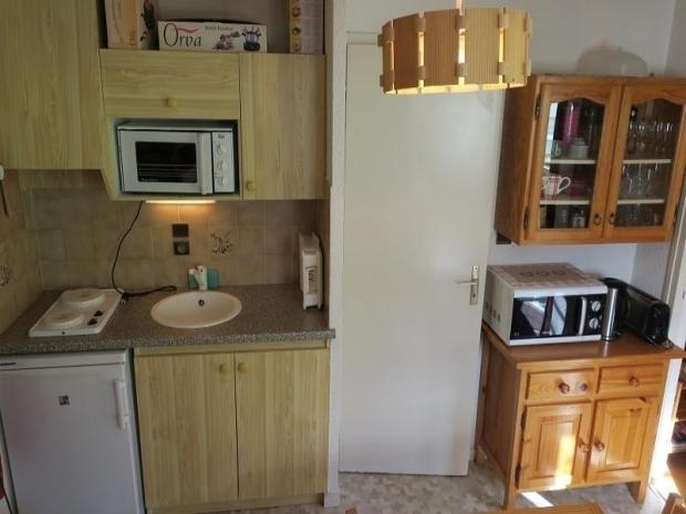 LE PERCE-NEIGE - Châtel