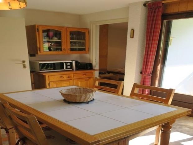 LE PERCE-NEIGE - Châtel