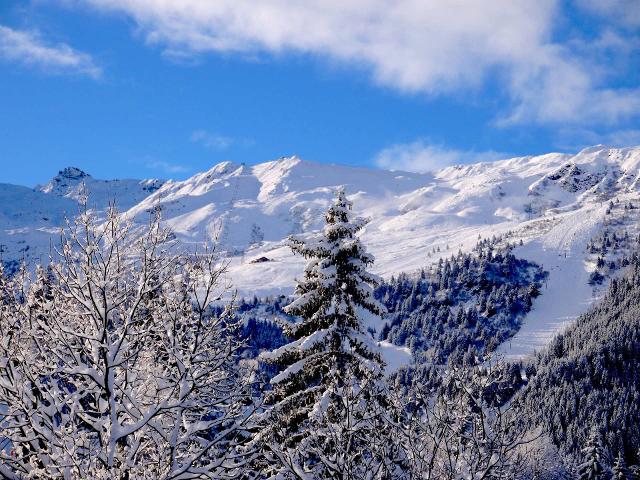 Appartements Les Adelphies - Méribel Centre 1600 