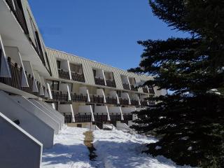 Appartements BOIS DES COQS - Serre Chevalier 1350 - Chantemerle