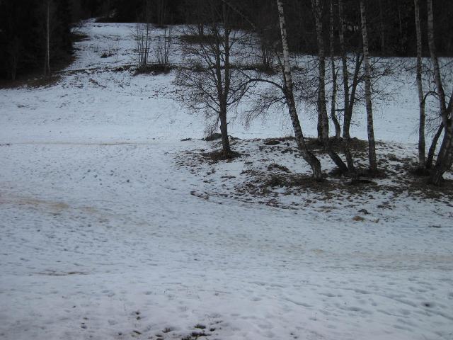 Appartements Les Roches - Plagne - Montchavin 