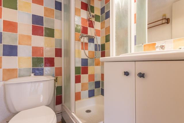 Appartements Les Roches - Plagne - Montchavin 