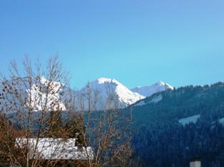L'Alisier - Le Grand Bornand