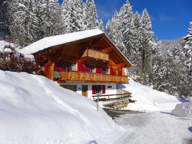 Chalet Saint Piran - Villars - sur - Ollons 