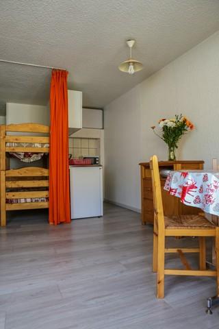 Appartement 3300 2ALP028 - Les Deux Alpes Venosc