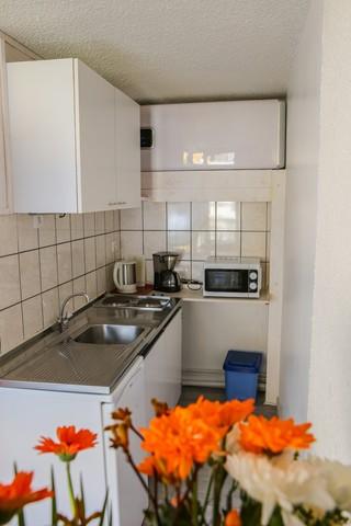 Appartement 3300 2ALP028 - Les Deux Alpes Venosc