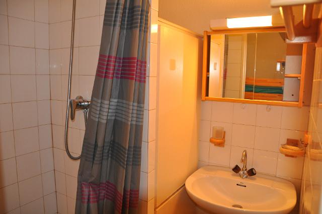 Appartements Andromede 56000822 - Les Deux Alpes Venosc