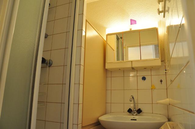 Appartements Andromede 56000821 - Les Deux Alpes Venosc