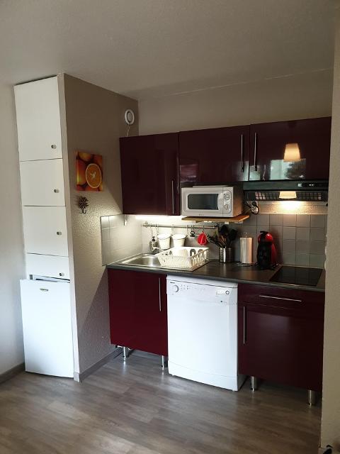 Appartement Les Carlines LS261 - Font Romeu - Pyrénées 2000