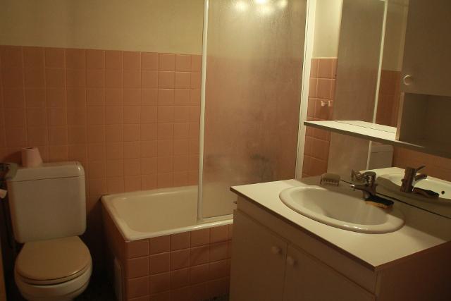 Appartements LES SEILLES - Châtel