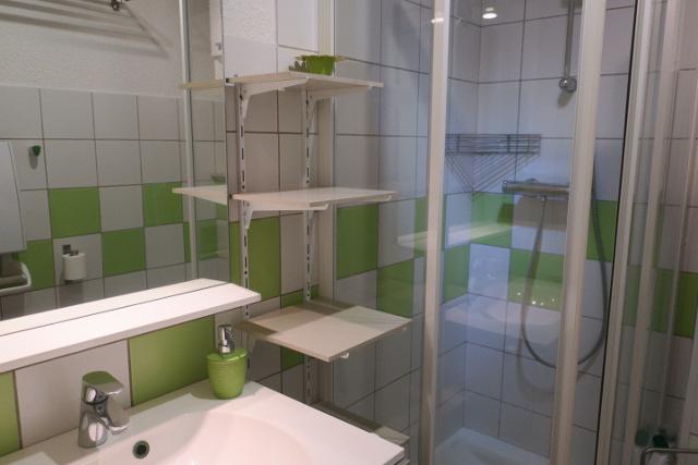 Appartements Le Moulin - Châtel