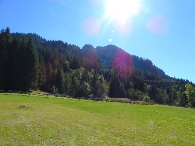 Appartements LES MYRTILLES - Châtel