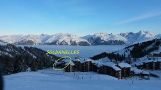 Appartements LES SOLDANELLES - Plagne Villages